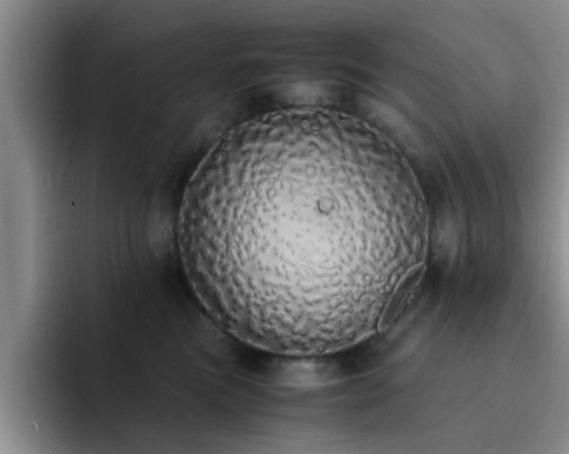 X0000092330473200709141422
