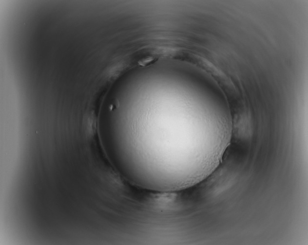 X0000092330474200709141422