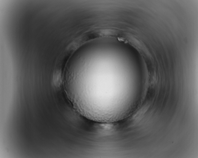 X0000092330478200709141422