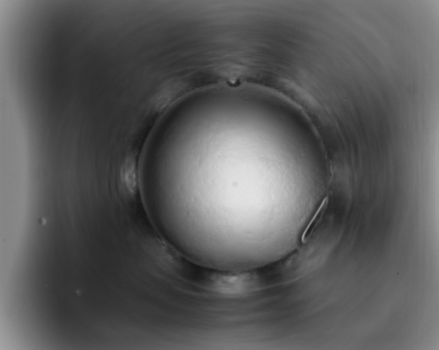 X0000092330479200709141422