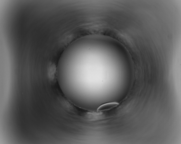 X0000092330480200709141422