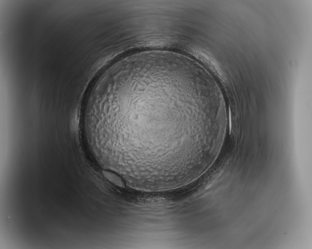 X0000092330483200709141421
