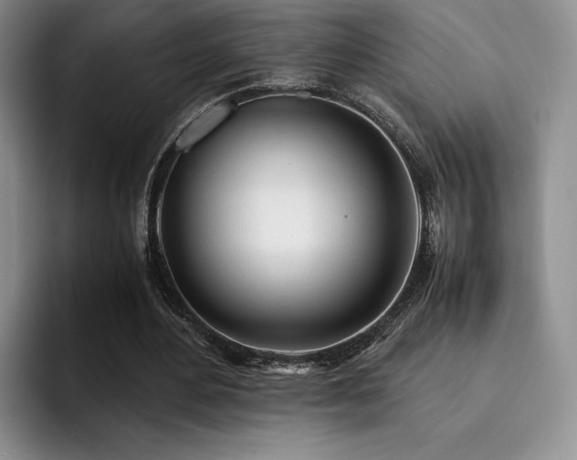 X0000092330484200709141421