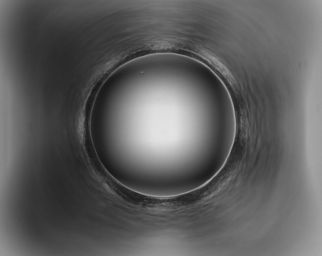 X0000092330485200709141421