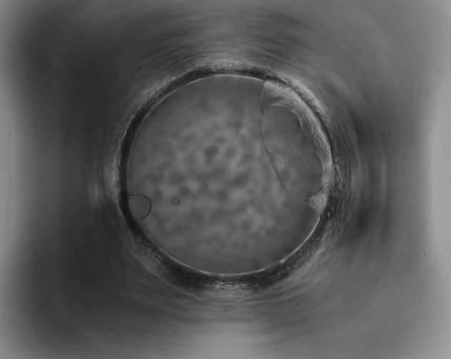 X0000092330487200709141421