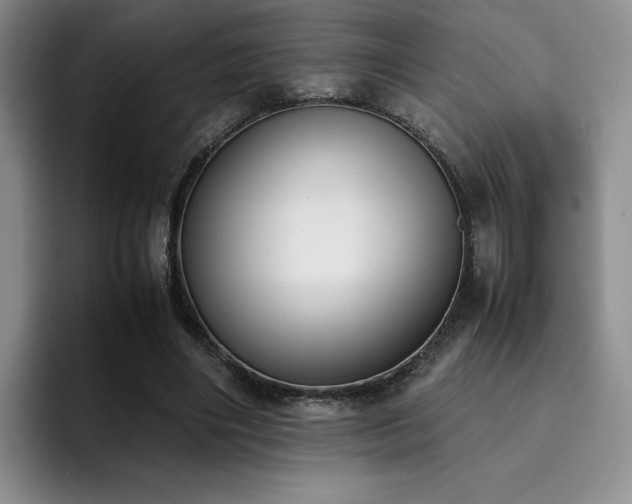 X0000092330490200709141421