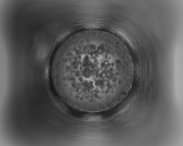 X0000092330491200709141421