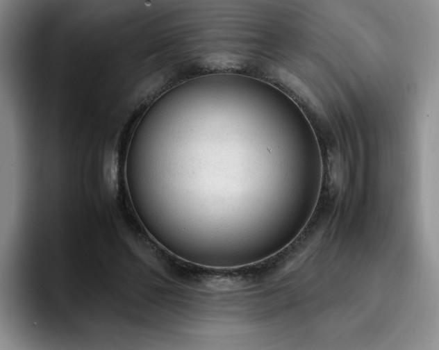 X0000092330494200709141421