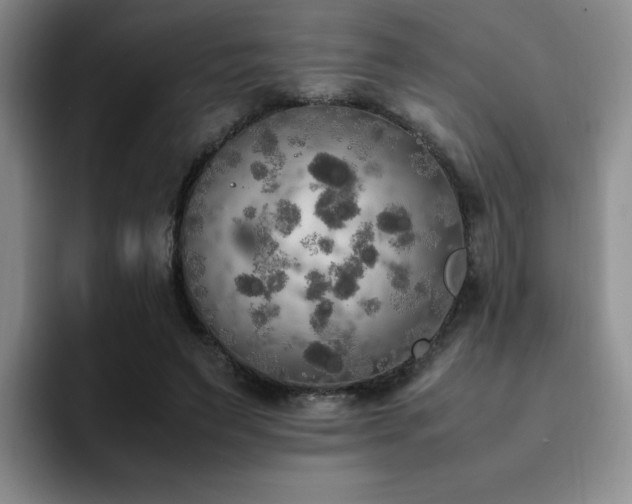 X0000092330495200709141421