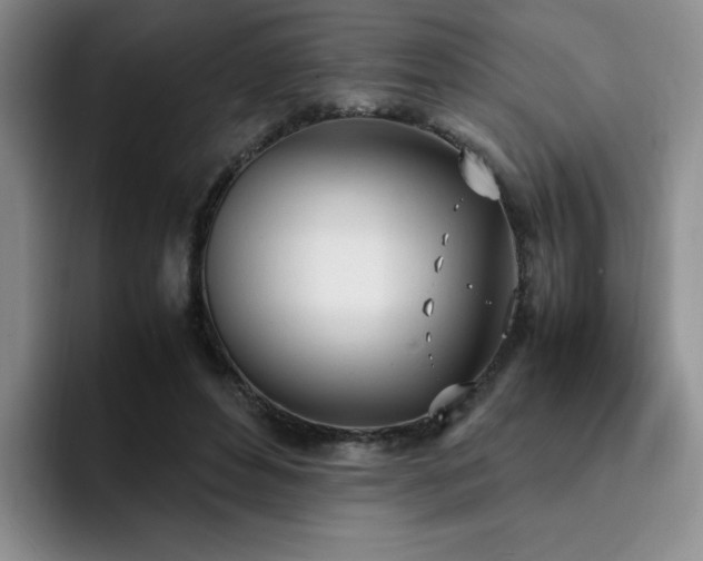 X0000092330496200709141421