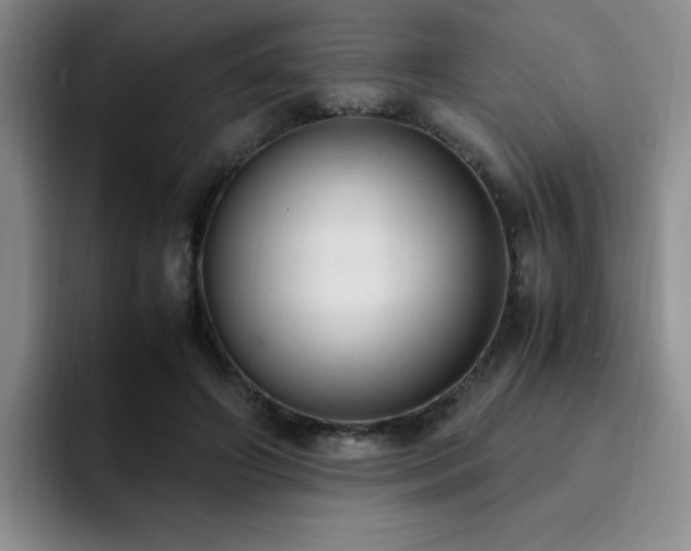 X0000092330498200709141421