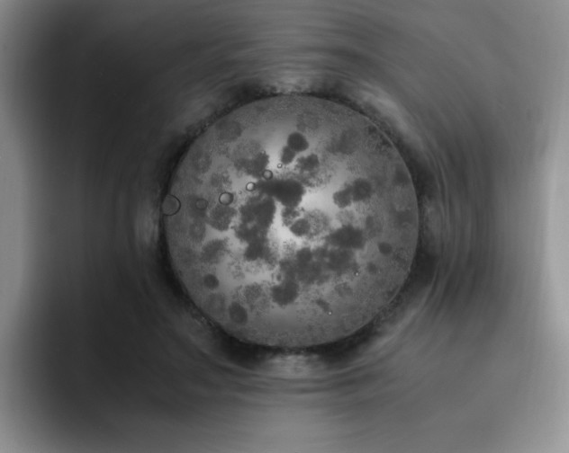 X0000092330499200709141421