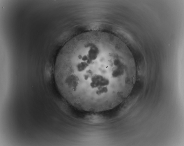 X0000092330503200709141421