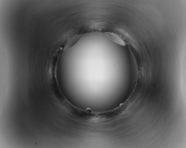 X0000092330504200709141421