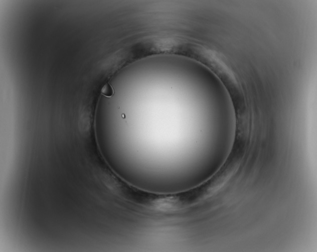 X0000092330505200709141421