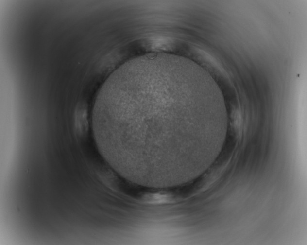 X0000092330506200709141421