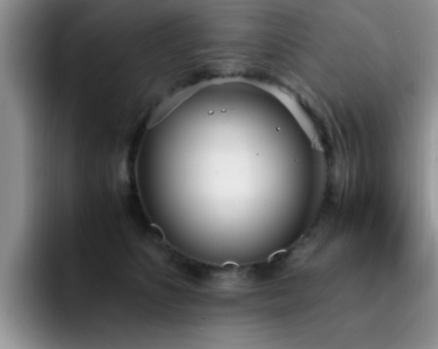 X0000092330516200709141421