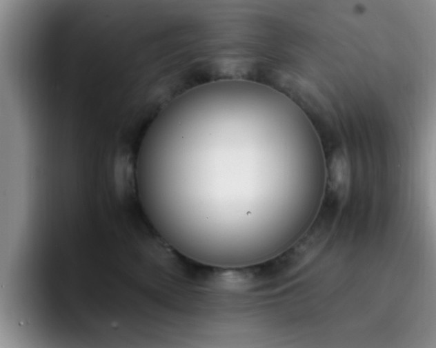 X0000092330522200709141421
