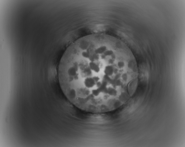X0000092330523200709141421