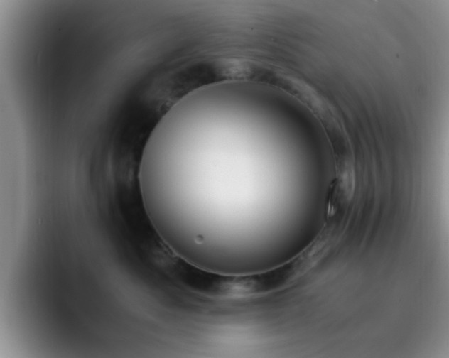 X0000092330525200709141421