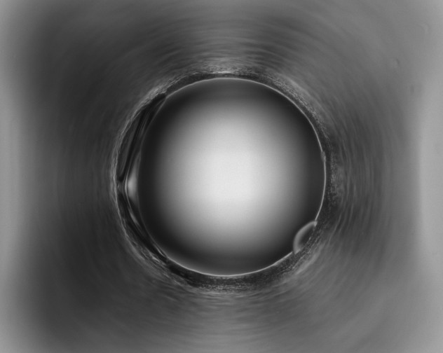 X0000092330530200709141420