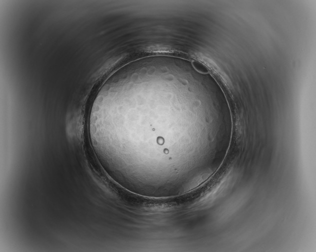 X0000092330533200709141420
