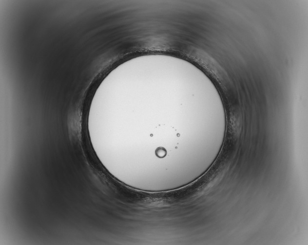 X0000092330534200709141420
