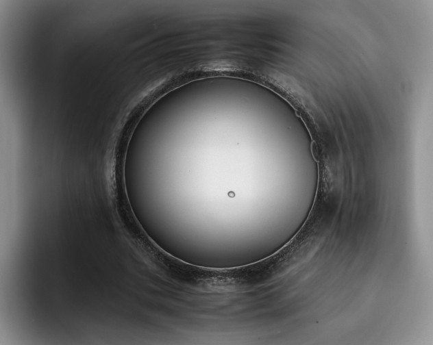 X0000092330535200709141420