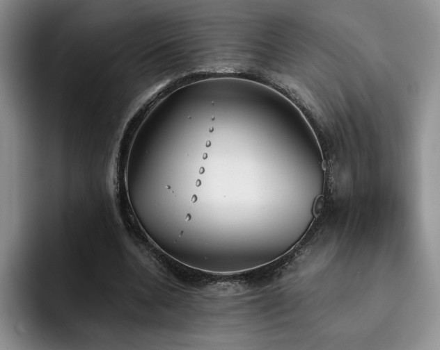 X0000092330536200709141420
