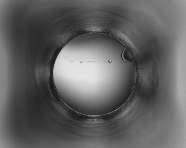 X0000092330541200709141420