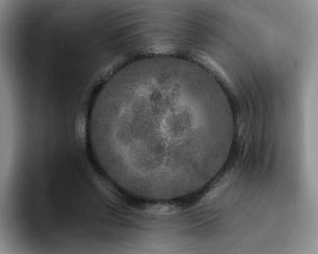 X0000092330542200709141420