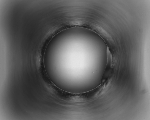 X0000092330544200709141420