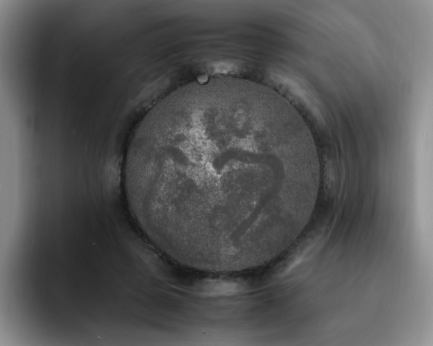 X0000092330545200709141420