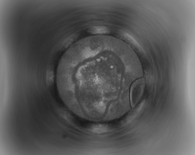 X0000092330549200709141420
