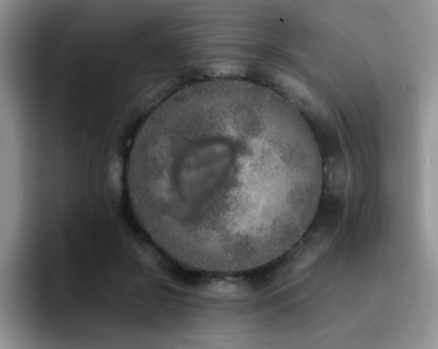 X0000092330550200709141420