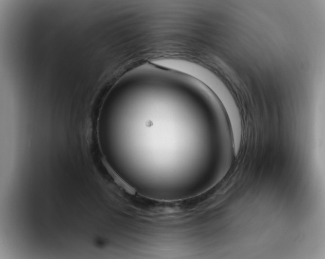 X0000092330552200709141420