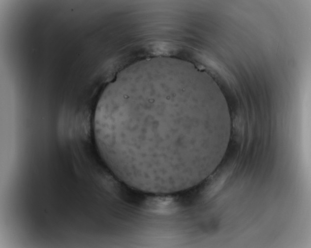 X0000092330554200709141420