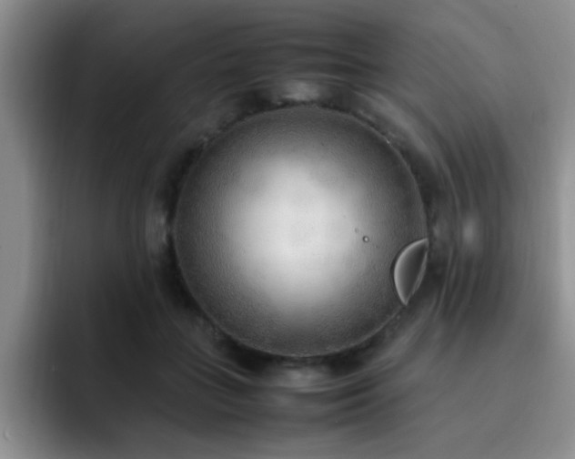 X0000092330555200709141420