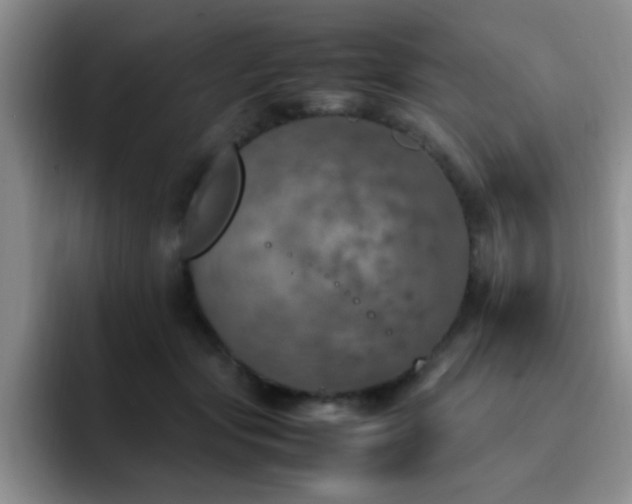 X0000092330557200709141421