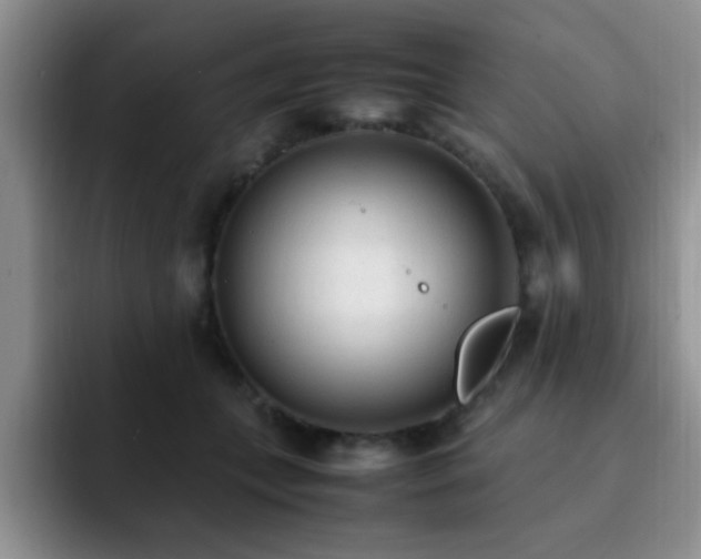 X0000092330559200709141421