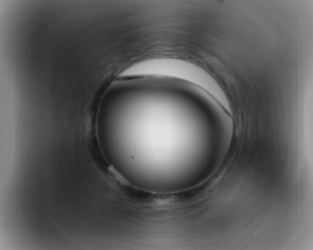 X0000092330560200709141421