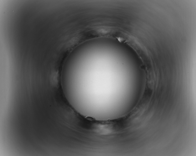 X0000092330563200709141421
