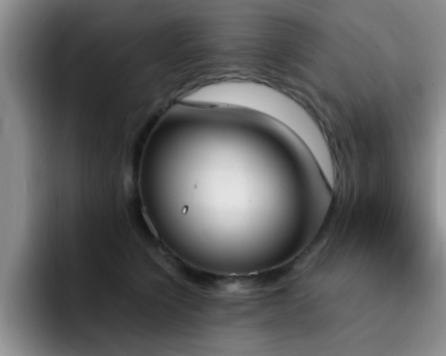 X0000092330564200709141421