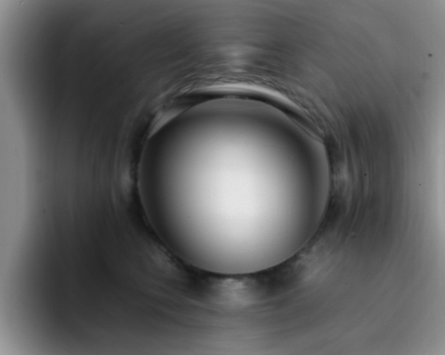 X0000092330566200709141421