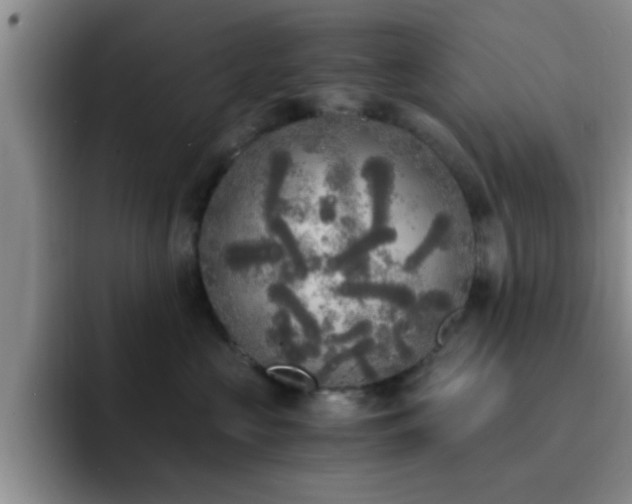 X0000092330573200709141421