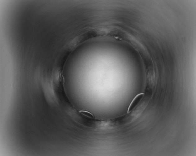 X0000092330574200709141421