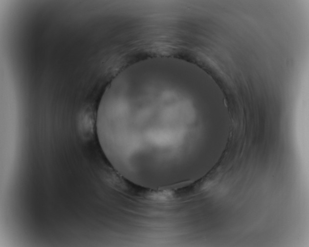 X0000092330576200709141421