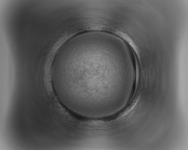 X0000092330577200709141420