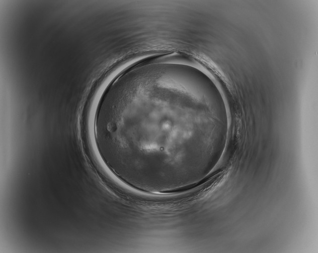 X0000092330581200709141420