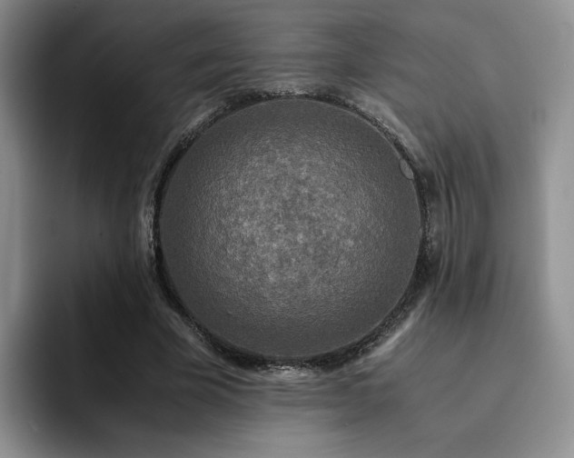 X0000092330585200709141420